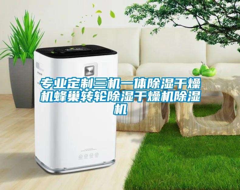 专业定制三机一体除湿干燥机蜂巢转轮除湿干燥机除湿机