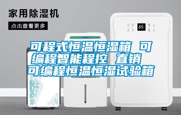 可程式恒温恒湿箱 可编程智能程控 直销 可编程恒温恒湿试验箱