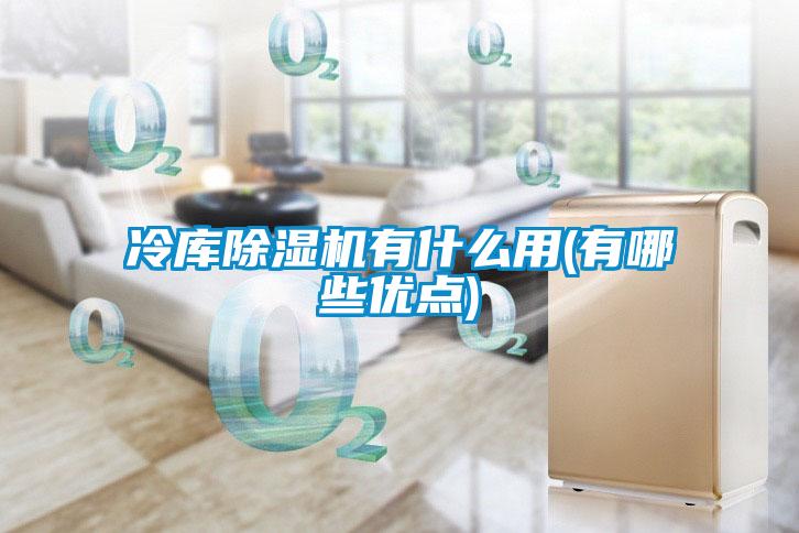 冷库除湿机有什么用(有哪些优点)