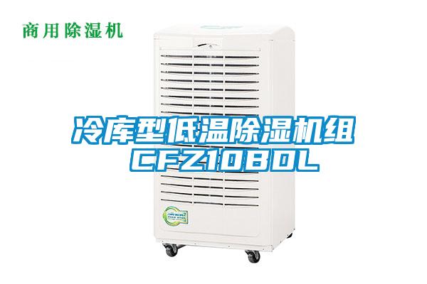 冷库型低温除湿机组 CFZ10BDL