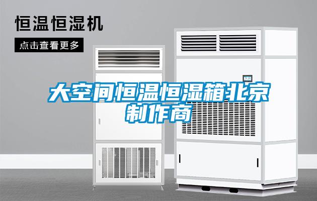大空间恒温恒湿箱北京制作商