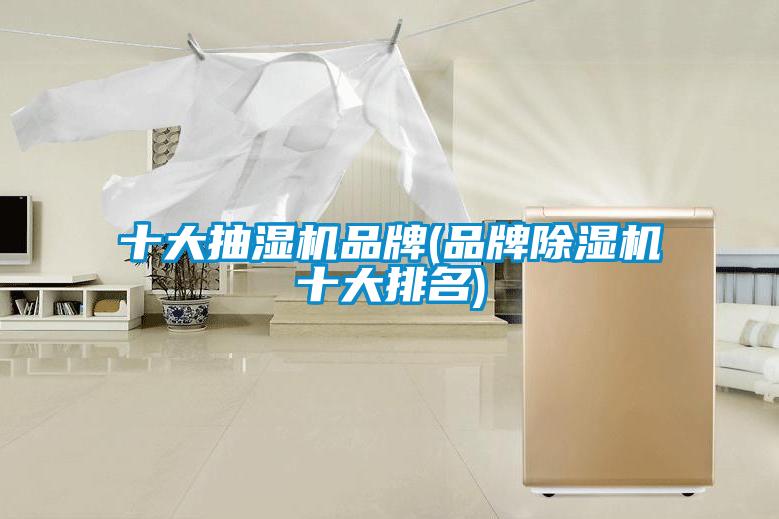 十大抽湿机品牌(品牌除湿机十大排名)