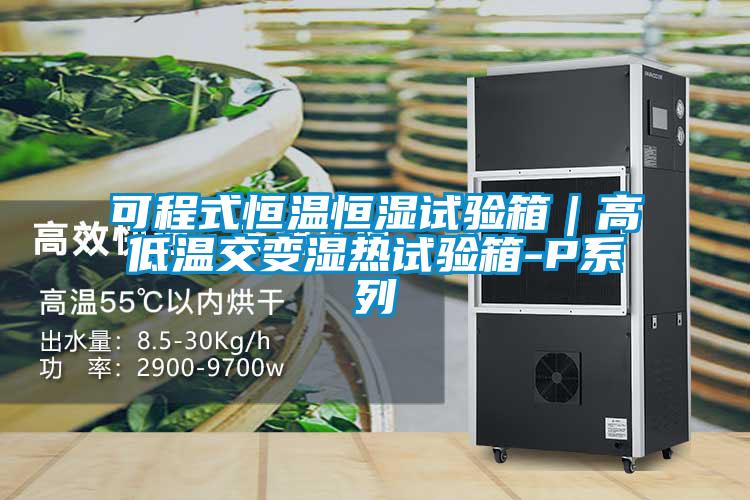 可程式恒温恒湿试验箱｜高低温交变湿热试验箱-P系列