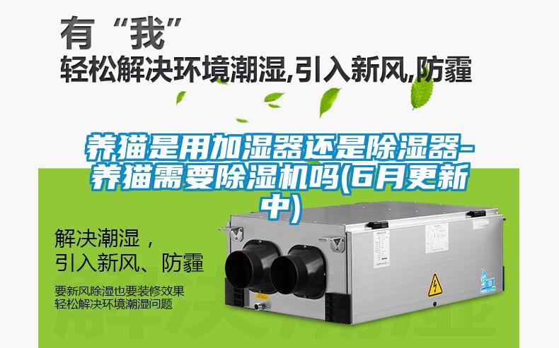 养猫是用加湿器还是除湿器-养猫需要除湿机吗(6月更新中)