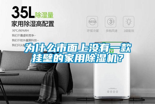 为什么市面上没有一款挂壁的家用除湿机？