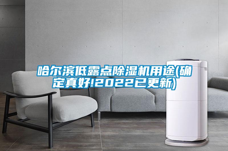 哈尔滨低露点除湿机用途(确定真好!2022已更新)
