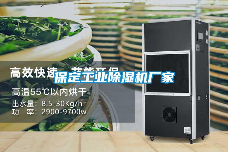 保定工业除湿机厂家