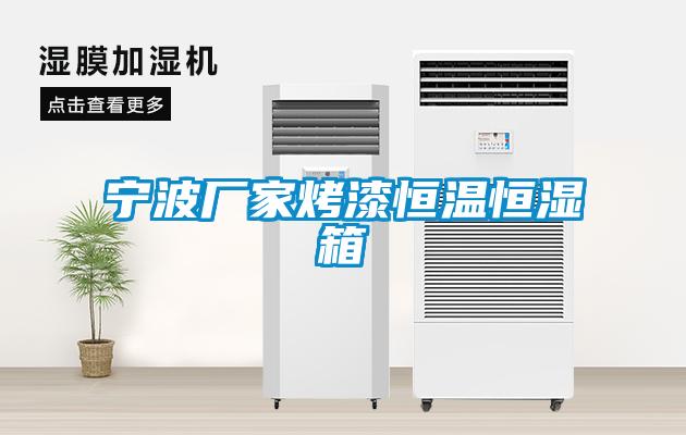 宁波厂家烤漆恒温恒湿箱
