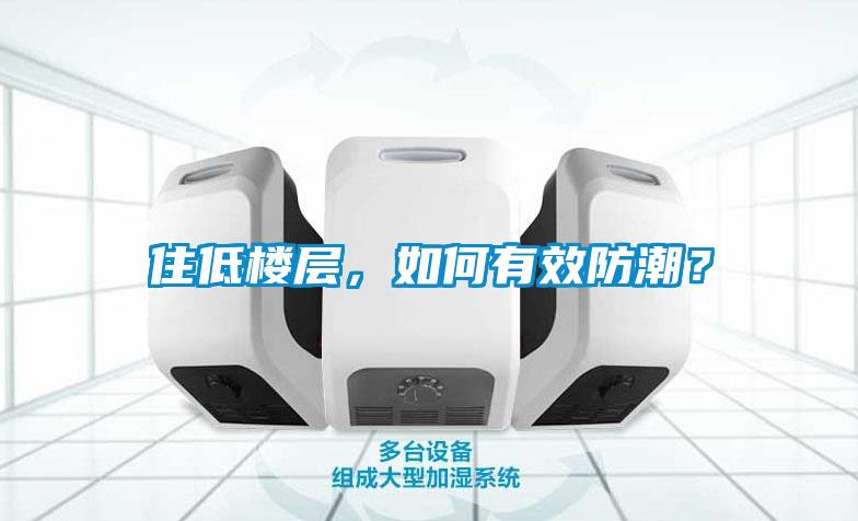 住低楼层，如何有效防潮？