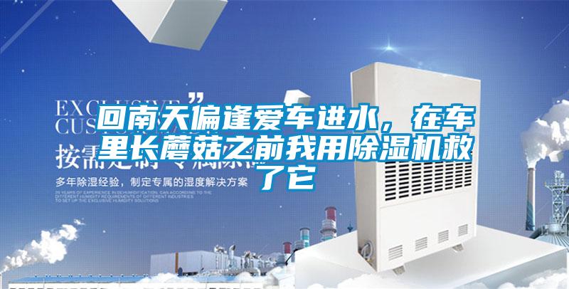 回南天偏逢爱车进水，在车里长蘑菇之前我用除湿机救了它