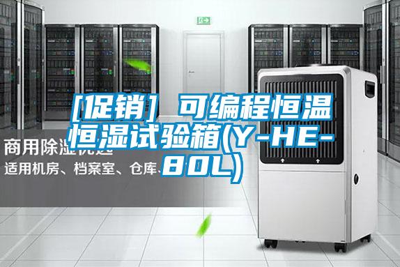 [促销] 可编程恒温恒湿试验箱(Y-HE-80L)