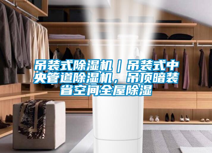 吊装式除湿机｜吊装式中央管道除湿机，吊顶暗装省空间全屋除湿