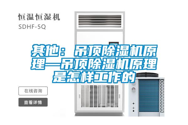 其他：吊顶除湿机原理—吊顶除湿机原理是怎样工作的