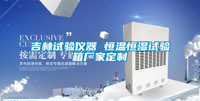 吉林试验仪器 恒温恒湿试验箱厂家定制