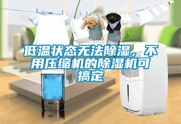 低温状态无法除湿，不用压缩机的除湿机可搞定