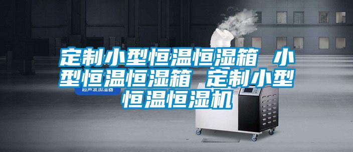 定制小型恒温恒湿箱 小型恒温恒湿箱 定制小型恒温恒湿机