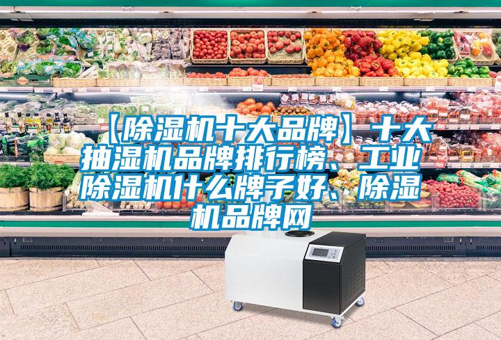 【除湿机十大品牌】十大抽湿机品牌排行榜、工业除湿机什么牌子好、除湿机品牌网