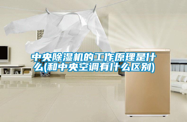 中央除湿机的工作原理是什么(和中央空调有什么区别)