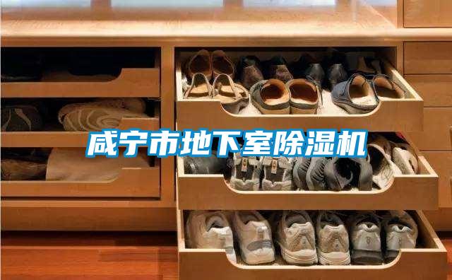 咸宁市地下室除湿机