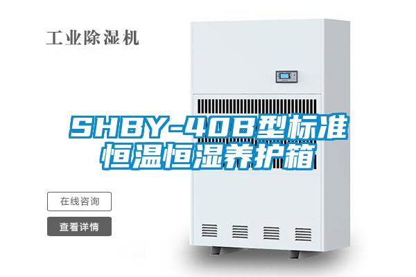 SHBY-40B型标准恒温恒湿养护箱
