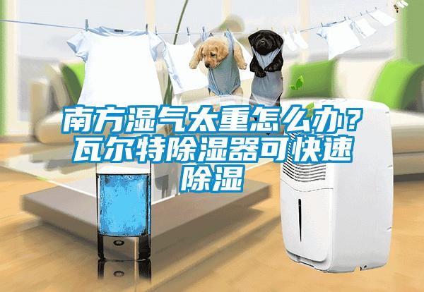 南方湿气太重怎么办？瓦尔特除湿器可快速除湿