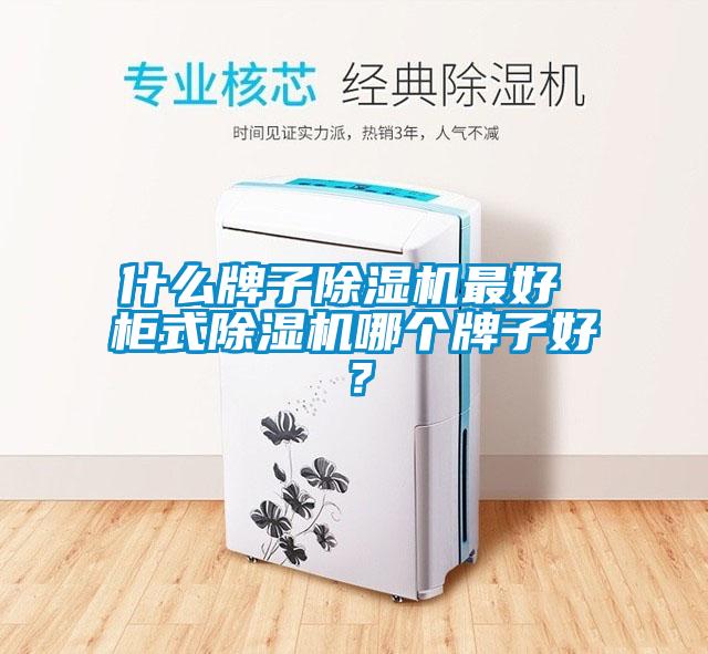 什么牌子除湿机最好 柜式除湿机哪个牌子好？