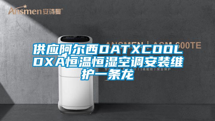 供应阿尔西DATXCOOLDXA恒温恒湿空调安装维护一条龙
