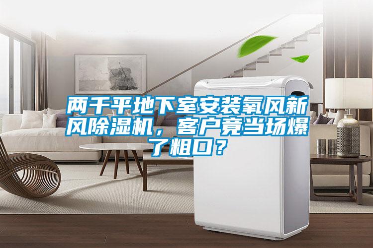 两千平地下室安装氧风新风除湿机，客户竟当场爆了粗口？