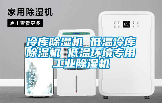 冷库除湿机 低温冷库除湿机 低温环境专用工业除湿机