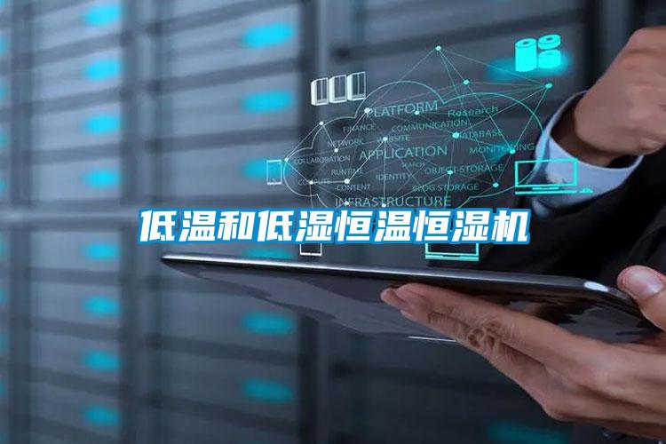 低温和低湿恒温恒湿机