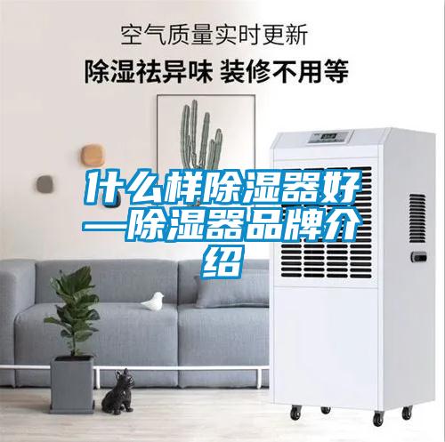 什么样除湿器好—除湿器品牌介绍