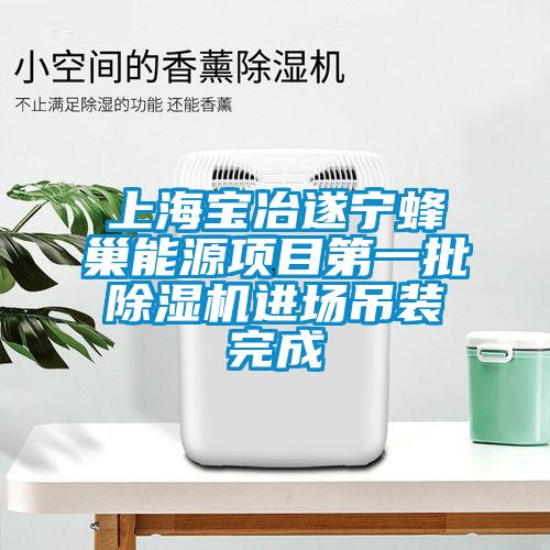 上海宝冶遂宁蜂巢能源项目第一批除湿机进场吊装完成