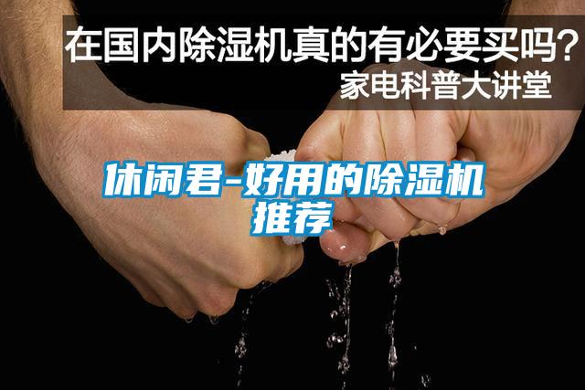 休闲君-好用的除湿机推荐