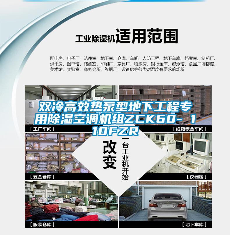 双冷高效热泵型地下工程专用除湿空调机组ZCK60- 110FZR