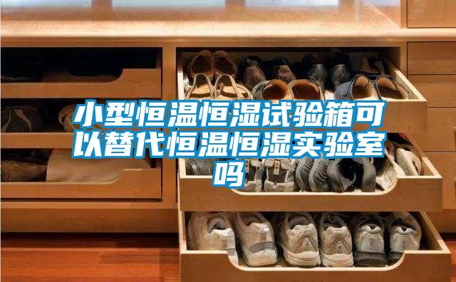 小型恒温恒湿试验箱可以替代恒温恒湿实验室吗