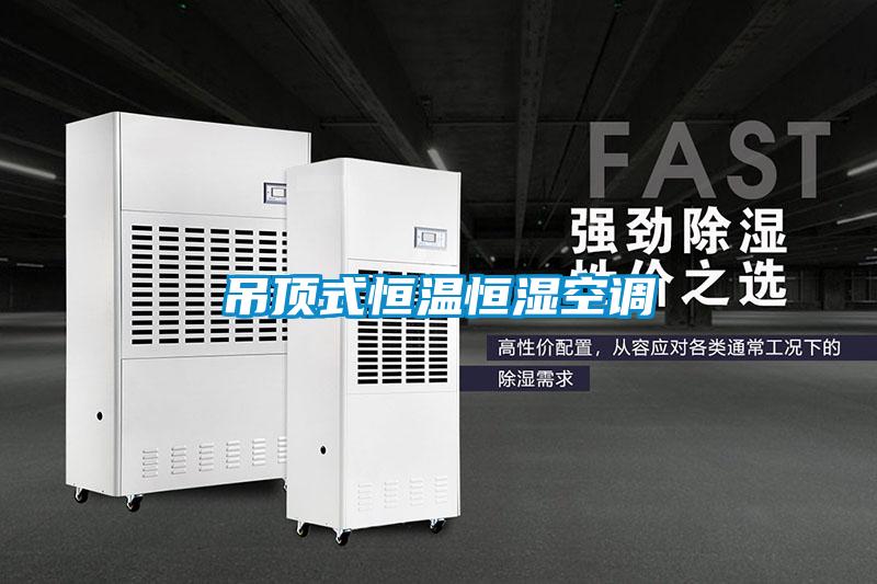 吊顶式恒温恒湿空调