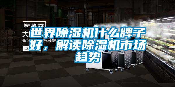 世界除湿机什么牌子好，解读除湿机市场趋势