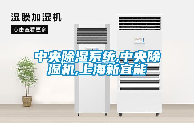 中央除湿系统,中央除湿机,上海新宜能