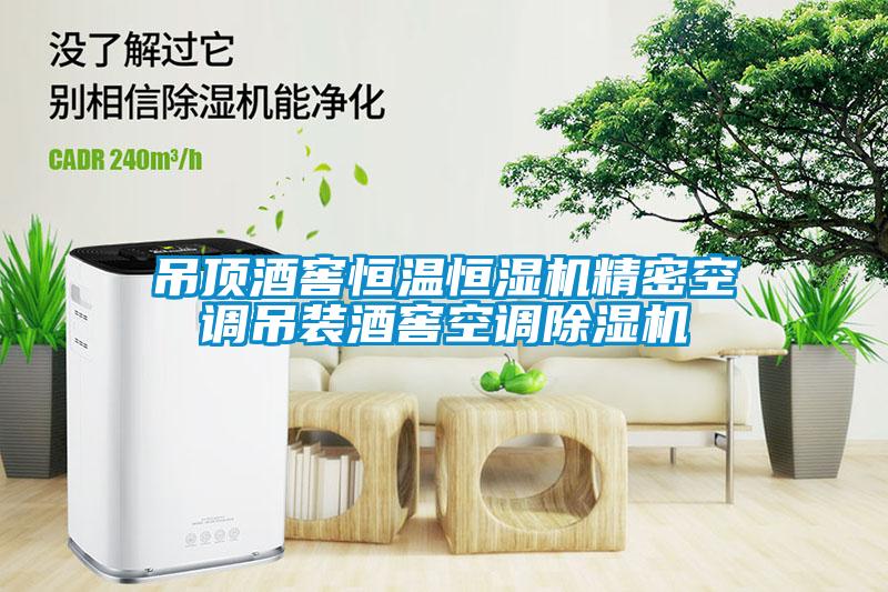 吊顶酒窖恒温恒湿机精密空调吊装酒窖空调除湿机