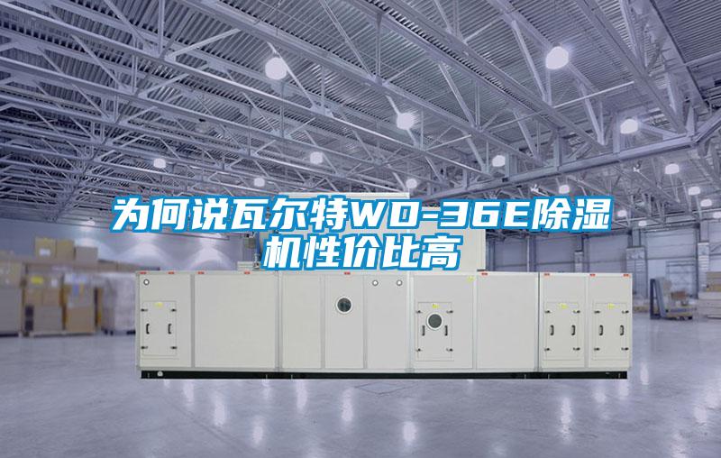 为何说瓦尔特WD-36E除湿机性价比高