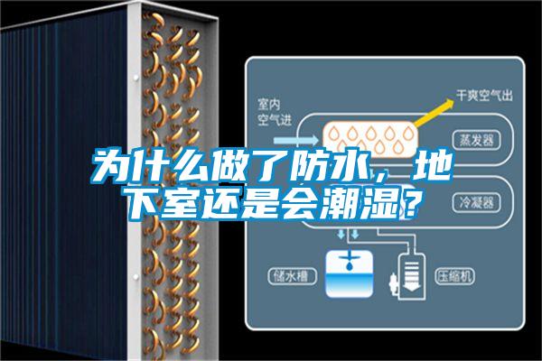 为什么做了防水，地下室还是会潮湿？