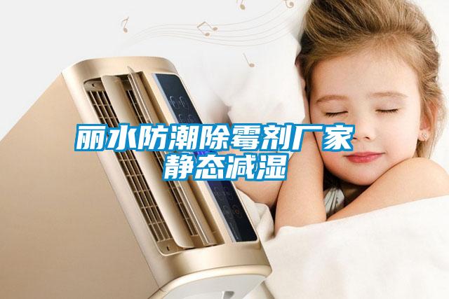 丽水防潮除霉剂厂家 静态减湿