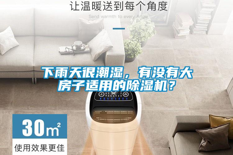 下雨天很潮湿，有没有大房子适用的除湿机？