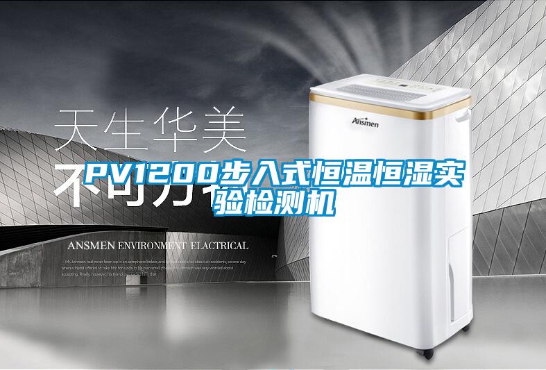 PV1200步入式恒温恒湿实验检测机