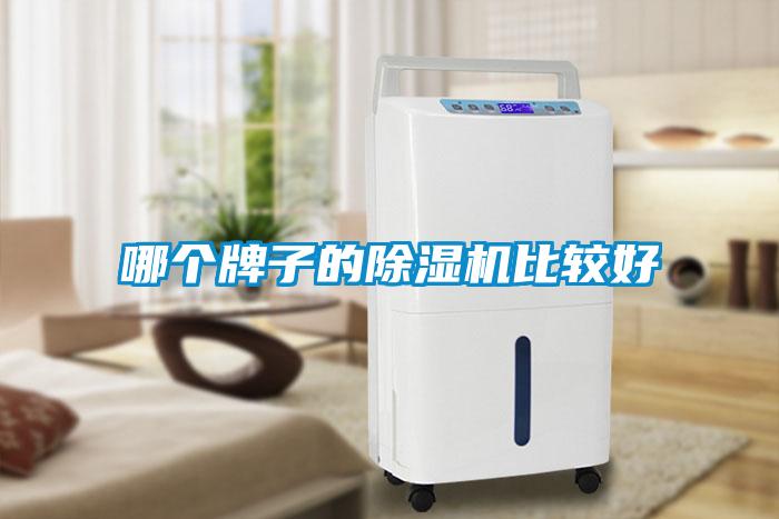 哪个牌子的除湿机比较好
