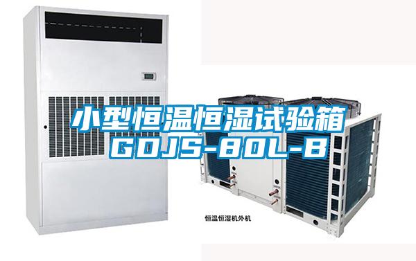 小型恒温恒湿试验箱 GDJS-80L-B