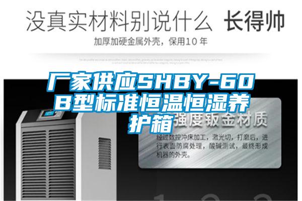厂家供应SHBY-60B型标准恒温恒湿养护箱
