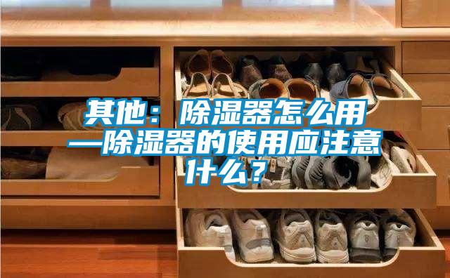 其他：除湿器怎么用—除湿器的使用应注意什么？