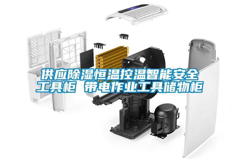 供应除湿恒温控温智能安全工具柜 带电作业工具储物柜