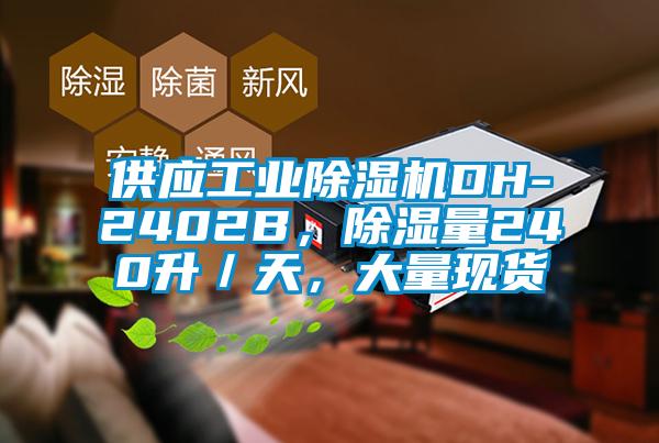 供应工业除湿机DH-2402B，除湿量240升／天，大量现货